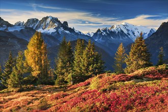 View of the Aiguille Verte and Mont Blanc in the first morning light in the Savoy, France, Europe