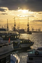 Port of Hamburg, view of the Blohm + Voss shipyard, evening, cranes of the container terminals,