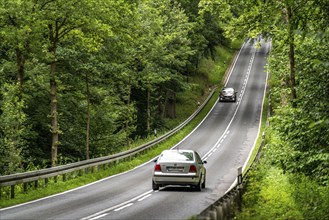 Country road through a forest, near Hofgeismar, in Hesse, Germany, Europe