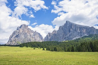 Landscape view from a alp meadow at the Langkofel Group in the Dolomites mountains, Val Gardena,