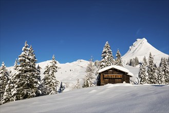 Snow-covered mountains and mountain hut, Damülser Mittagspitze, Damüls, Bregenzerwald, Vorarlberg,