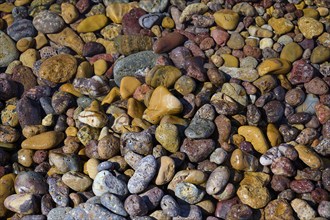 Close-up of colourful pebbles with different textures and patterns, Lambi beach, pebble beach,