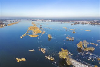 Aerial view, drone photo: Flood, flooded meadows in the floodplains along the river Oder, Groß