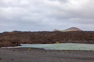 Water pool at Playa de Montaña Bermeja, volcanic landscape, Lanzarote, Canary Island, Spain, Europe