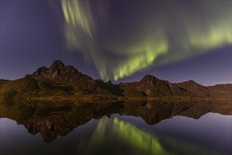 Northern Lights, Aurora borealis, mountains reflected in fjord, autumn, Vesteralen, Norway, Europe