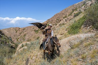 Traditional Kyrgyz eagle hunter with eagle in the mountains, hunting on horseback, near Kysyl-Suu,