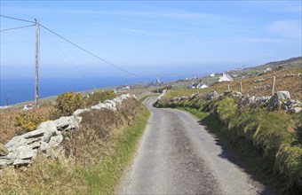 Road along west coast of Cape Clear Island, County Cork, Ireland, Irish Republic, Europe