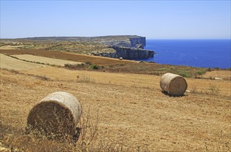 Coastal landscape near Gharb, island of Gozo, Malta view to San Dimitri Point headland