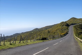 Road on the Paul da Serra plateau, Madeira, Portugal, Europe