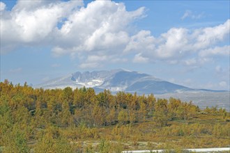 View of a forested mountainside in autumn under a blue sky with white clouds, autumn, Hjerkinn,