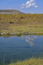 A calm lake reflecting the surrounding mountains and the sky with white clouds, autumn, Hjerkinn,