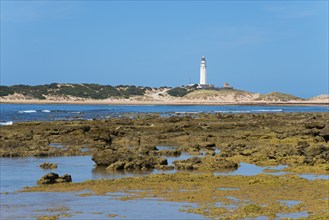 A lighthouse stands on a rocky coast with a blue sky and calm sea in the background, Faro de