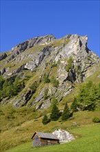 Jörgenalm, below the Figerhorn, Ködnitztal, Hohe Tauern, near Kals am Großglockner, East Tyrol,