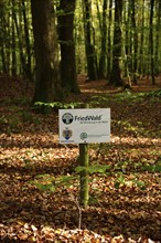 Europe, Germany, Lower Saxony, Stade district, cemetery forest in Neukloster Forst, burial in