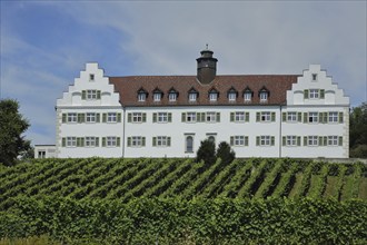 Baroque Hersberg Castle with vineyards, Immenstaad, Obersee, Lake Constance, Lake Constance region,