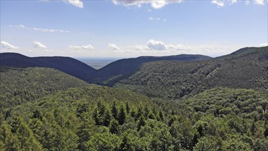 Panorama of the Palatinate Forest