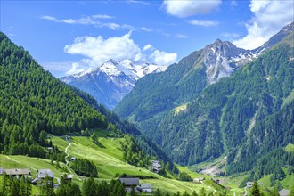 Picturesque mountain landscape and view over the Passeier Valley above Rabenstein, moss in