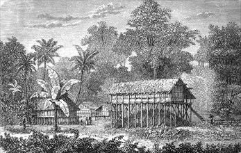 Native dwelling in Tahiti in 1880, Historical, digital reproduction of an original from the 19th