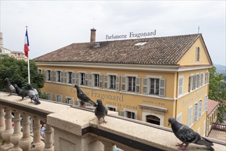 View of the Fragonard perfume manufacturer's building in Grasse, Département Alpes-Maritimes,