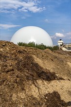 Biogas plant, gas storage, with dome, use of solid manure as energy source, storage area, on a farm