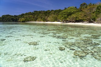 Coral reef on the dream beach of Ao-niang on the island of Koh Kradan in the Andaman Sea, voted the