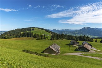 Bödele, landscape Bregrenzerwald, alpine pasture farming, alpine view, forest, Vorarlberg, Austria,