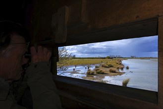 Birdwatcher in bird hide looking through binoculars at ducks and other water birds in nature