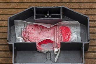 Open mouse bait station showing nibbling traces on bag with Brodifacoum rodenticide, poisonous