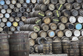 Huge stacks of discarded whisky casks, barrels at Speyside Cooperage, Craigellachie, Aberlour,