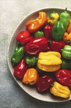 Habanero pepper, color mix, raw, vegetable, top view, no people