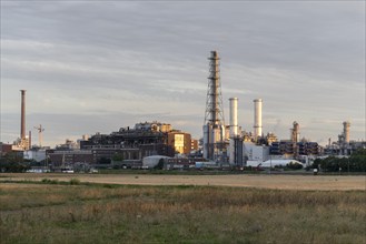 BASF, Lugwigshafen am Rhein, industrial area, dusk, fields, Mannheim, Baden-Württemberg, Germany,