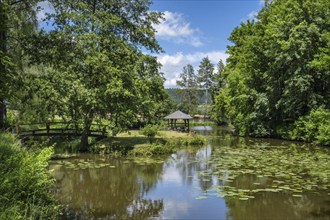 Monastery garden, park with water lily pond, Heiligkreuztal Monastery, Biberach district, Upper