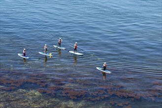 People on paddleboards, White Cliffs. Old Harry Rocks Jurassic Coast, Dorset Coast, Poole, England,