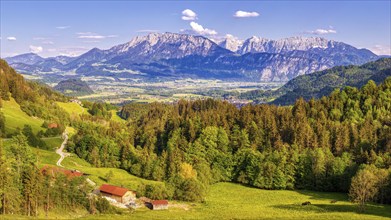 Idyllic mountain landscape with green forest and meadows against a blue sky, Wilder Kaiser