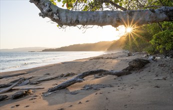 Sandy beach beach and sea at sunset, sun star, Playa Cocalito, coastal landscape, Pacific coast,