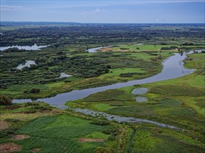 The Warta Estuary National Park, Park Narodowy Ujscie Warty, where the Warta flows into the Oder.