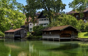 Nature and landscape around Lake Tegernsee, Bavaria, Germany, Europe