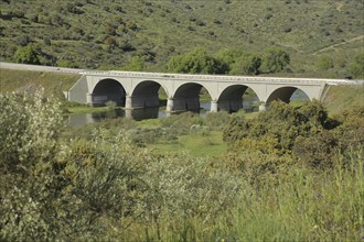 Historic stone arch bridge over the Rio Almonte, Extremadura, Spain, Europe