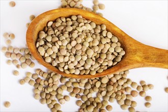 Pile of green lentils in a wooden spoon isolated on white background. Closeup