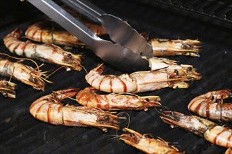 Grilled black tiger prawns