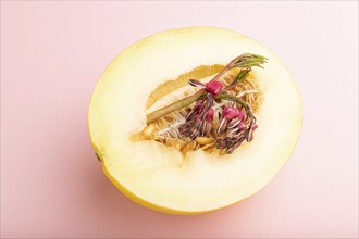 Sliced ripe yellow melon and dicentra flowers on pink pastel background. Side view, close up.