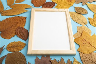 Composition with yellow and brown autumn leaves and wooden frame mockup on blue pastel background.