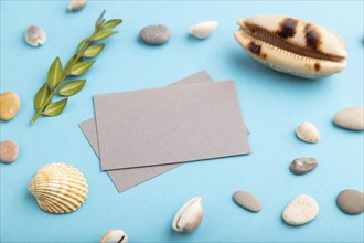 Composition with gray paper business cards, seashells, green boxwood. mockup on blue pastel