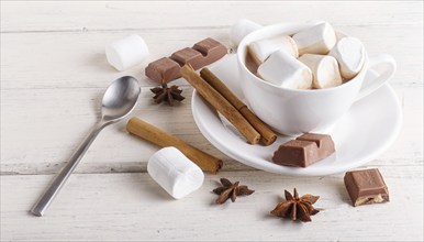 A cup of hot chocolate with marshmallow and spices on white wooden background. top view, close up