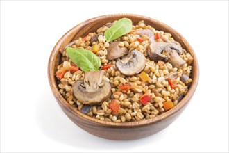 Spelt (dinkel wheat) porridge with vegetables and mushrooms in wooden bowl isolated on white