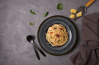 Pasta with tomato sauce and cheese, Italian traditional dish, close-up, no people