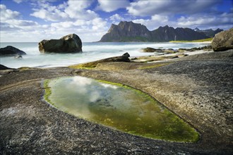 Seascape on the beach at Uttakleiv (Utakleiv), rocks and green seaweed in the foreground. In the