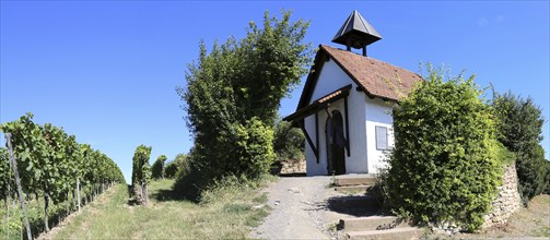 The chapel on the Annaberg in Bad Dürkheim, Rhineland-Palatinate