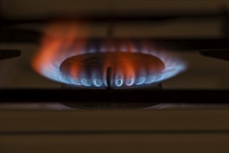 Gas flame, gas cooker, Germany, Europe