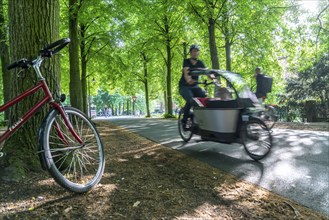 Promenade cycle path, tree-lined, car-free, approximately 4.5 km long ring road around the city